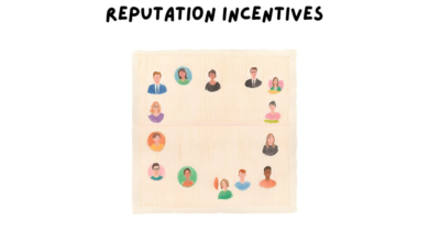 Reputation Incentives