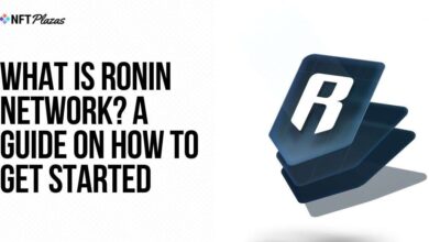 What Is Ronin Network?