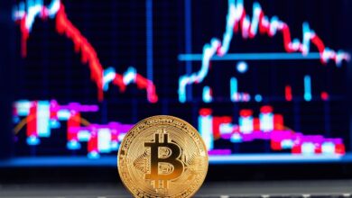 Crypto Downturn Sees Btc Touch $58k;bitcoin Dogs Fluctuates