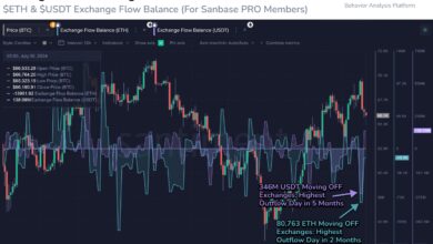 Ethereum Seeing High Exchange Outflows, But Watch Out For This