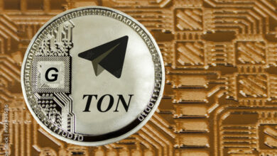 Toncoin Tumbles To $4.6 As Bears Eye Further Decline, Will