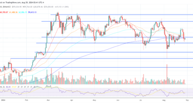 Understanding The Crypto Bull Run Dynamics: Insights From Crypto Analyst