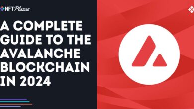 A Complete Guide To The Avalanche Blockchain In 2024