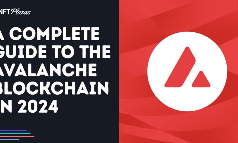 A Complete Guide To The Avalanche Blockchain In 2024