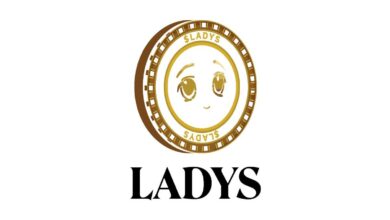 Ladys Meme Coin Rebrands As It Details Vision Statement