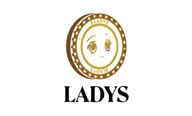 Ladys Meme Coin Rebrands As It Details Vision Statement