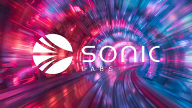 Sonic Pioneers Wallet Credit Scores With No Kyc Requirements Amid