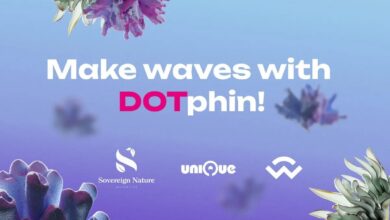 The Sovereign Nature Initiative Releases Dotphin: Eco Evolving Avatars On Polkadot