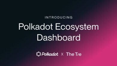 The Tie Launches Polkadot Ecosystem Dashboard On The Tie Terminal