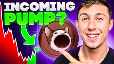 Will $popcat Pump To $1, Or Does Crypto All Stars’ Presale