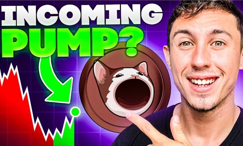 Will $popcat Pump To $1, Or Does Crypto All Stars’ Presale